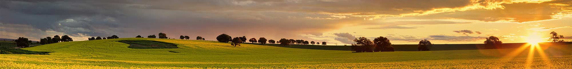 Farm land in country New South Wales