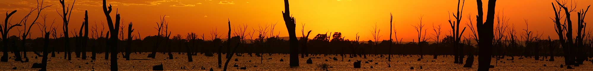 The dry outback of Albury Wodona